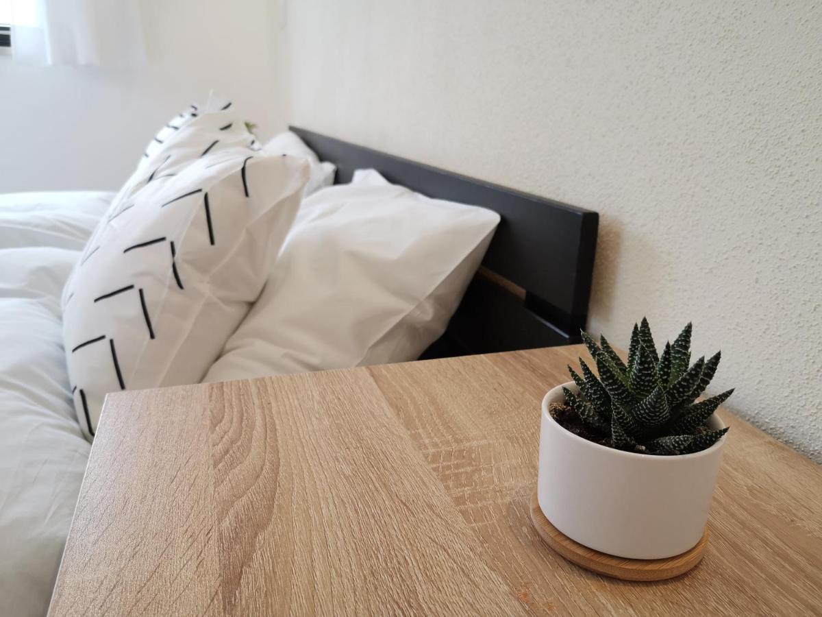 Moderne Ferienwohnungen Mit Designbad Petting 외부 사진